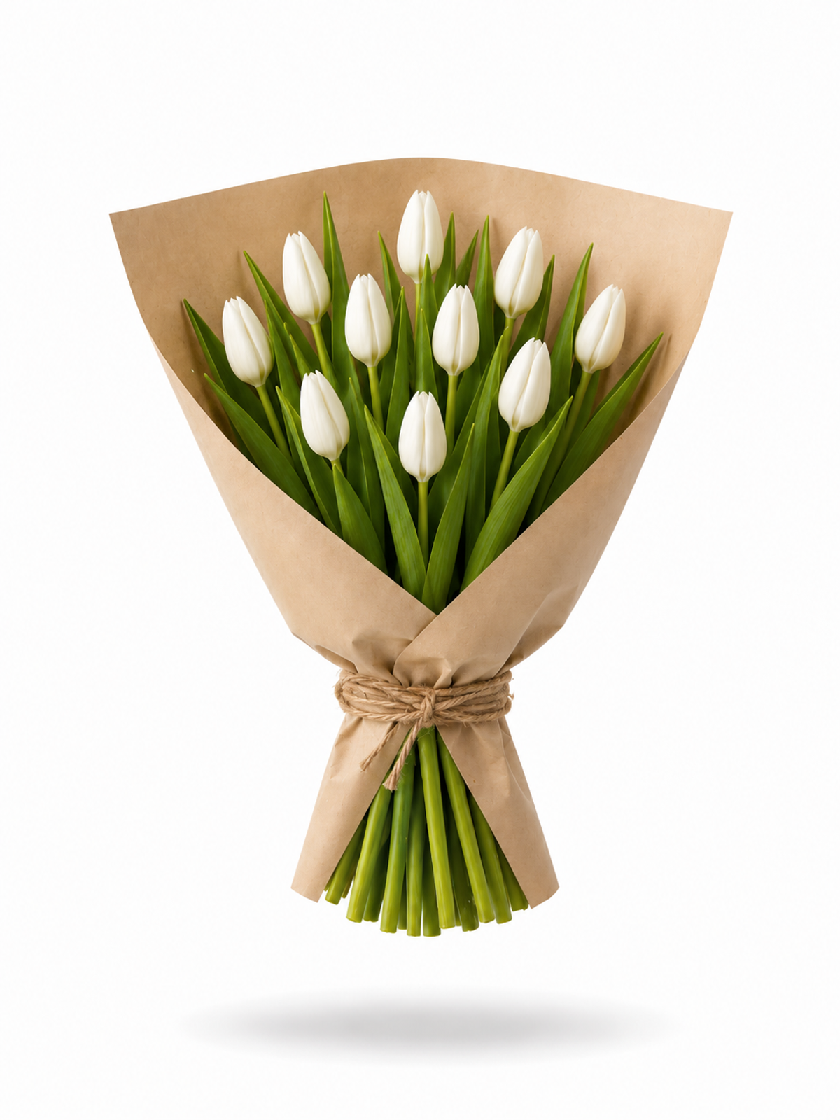 white tulips